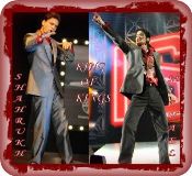 srk-mj